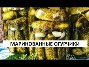 Маринованные огурчики с тархуном.
