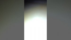 утренний VLOG с мягкой игрушкой  Килли 🌼/ᐠ｡ꞈ｡ᐟ\🌼