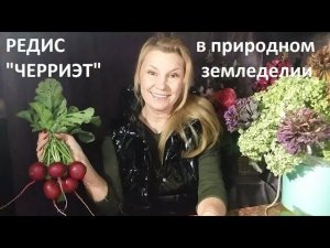 Редис от А до Я в природном земледелии