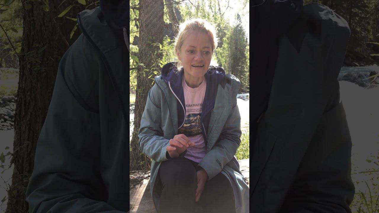 Отзывы турклуба Гора. Алтай. Горный трекинг к подножию Белухи смотреть онлайн