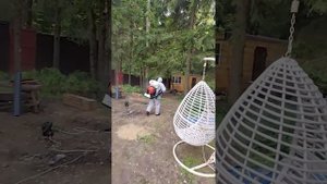 уничтожение шершней,ос#+79152048084
