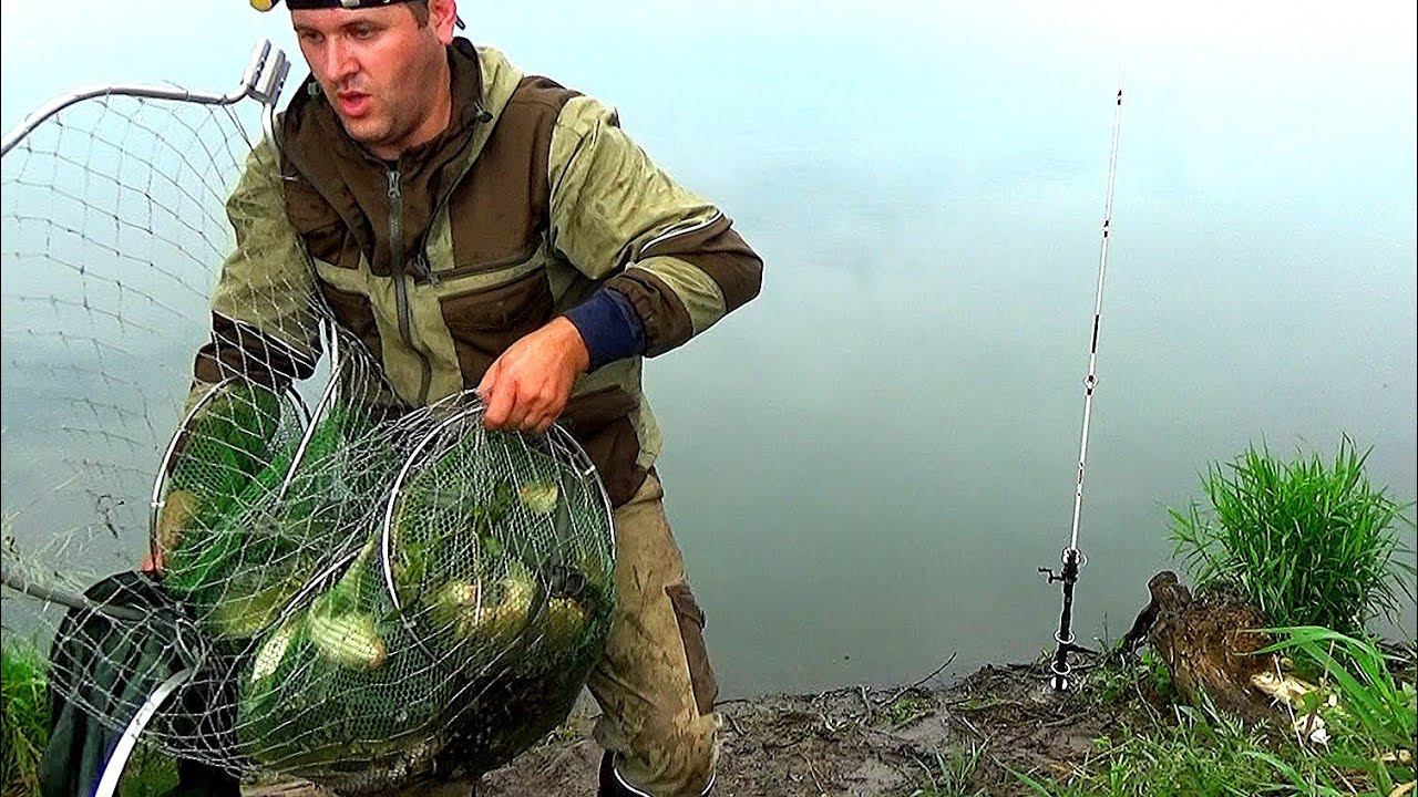 РЫБАЛКА НА КАРПА! РАССТАВИЛ ДОНКИ И ПОНЕСЛОСЬ! НАЛОВИЛ ЕЛЕ УНЁС! РАЗВЕ МОЖНО СТОЛЬКО ЛОВИТЬ... смотреть онлайн