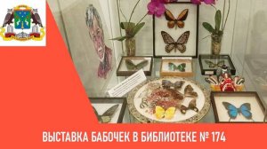 Выставка бабочек в библиотеке № 174