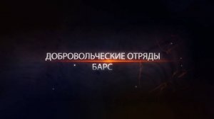 Добровольческие отряды Барс