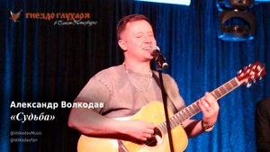 "Судьба" Александр Волкодав "Гнездо глухаря" Санкт-Петербург 10.02.24 #питер #голос #концерт #live