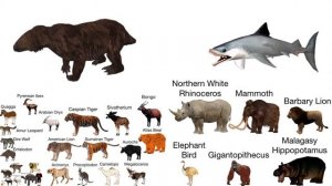 Extinct Animals Size Comparison without music