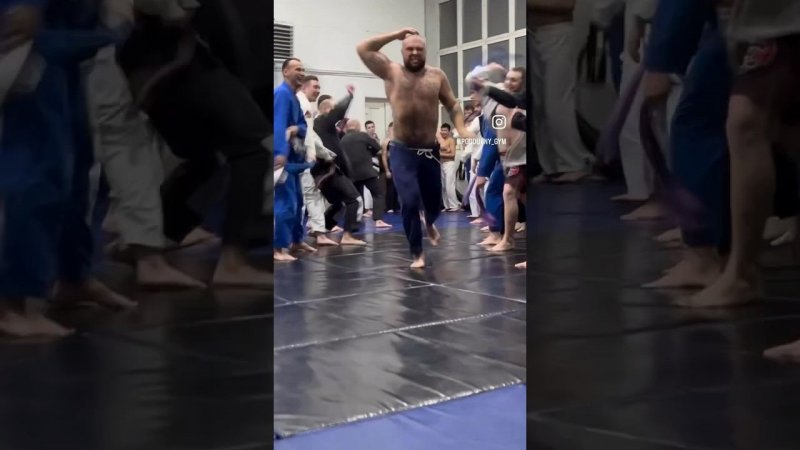 Аттестация на пояса в TEAM STRELA Красноярск #bjj