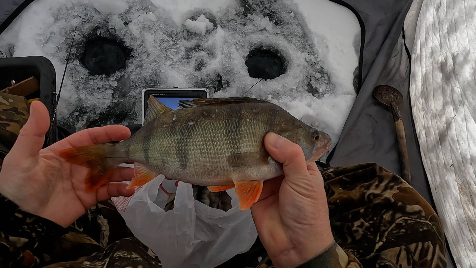 Ловля крупного окуня в Усть-Ербе смотреть онлайн