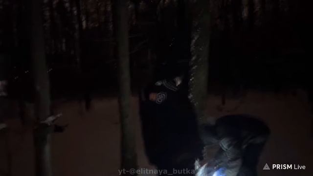 ХАЗЯЕВА ВЗРЫВАЮТ ПЕТАРДЫ | Парадеевич, Эксайл, Фрейм Теймер, Данила Горилла