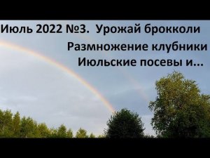 Июль 2022 №3. Урожай брокколи. Размножение клубники и многое другое)