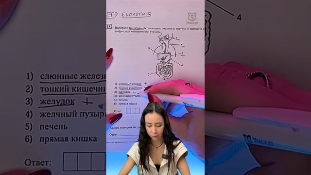 пищеварение #биологияегэ #биология #жаннаказанская #умскул