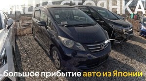 HONDA FREED ЗА 700 ТЫСЯЧ⁉️БОЛЬШОЕ ПРИБЫТИЕ АВТОМОБИЛЕЙ ИЗ ЯПОНИИТАКИХ ЦЕН НЕ БЫЛО ДАВНО