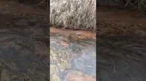 1000030803.mp4Мысли...