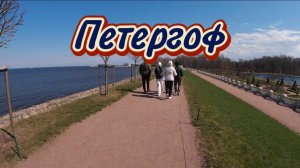 Едем в Петергоф. Гуляем по парку!