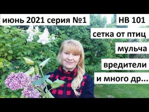 Июнь 2021 серия №1. НВ-101 от стресса и болезней. Спасем клубнику от дроздов и много что еще........