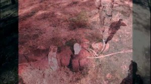 Выживает подготовленный