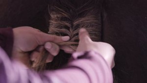 How to plait your horse's tail - Tutorial