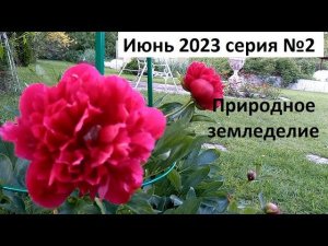 Июнь 2023 №2.Уход за огородом в природном земледелии.