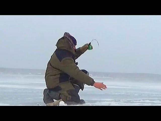 РЫБАЛКА НА СУДАКА 2022-23!ПЕРВЫЕ СУДАКИ СЕЗОНА!РЫБАЛКА НА ВОДОХРАНИЛИЩЕ#рыбалканасудака смотреть онлайн