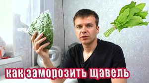 Как заморозить щавель на зиму