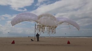 Кинетические скульптуры.Тео Янсен создает движимых ветром «пляжных животных»