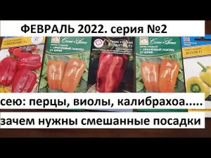 Февраль 2022. серия №2. Посев перца, виолы, калибрахоа...