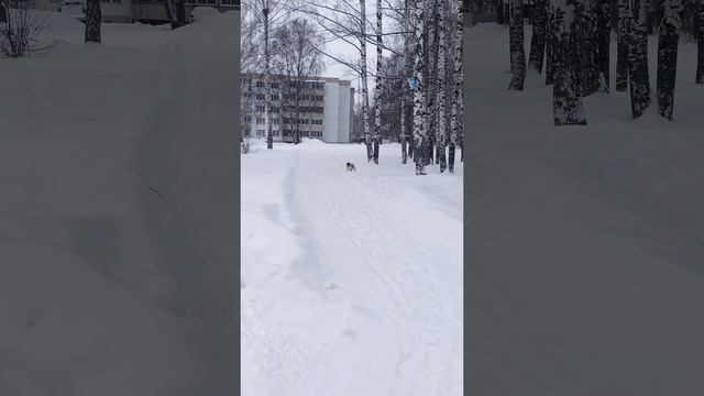 Мой парк! 😄