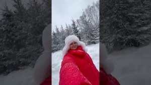 Брозаврики играют в ❄️