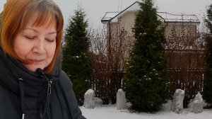 Наконец выползла на улицу.  Ромашки в спальне. Загородная жизнь.