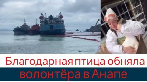 Благодарная птица обняла волонтёра в Анапе