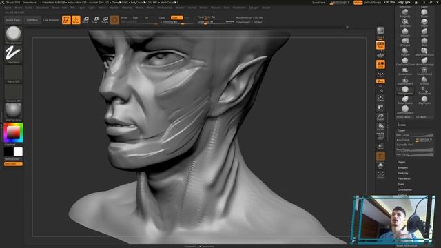 08 Zbrush для начинающих _ Топ Кистей + Clip Curve и Slice Curve (Урок)