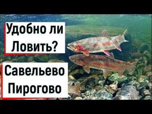 ЛОВЛЯ ФОРЕЛИ  Савельево 2 (Пирогово).