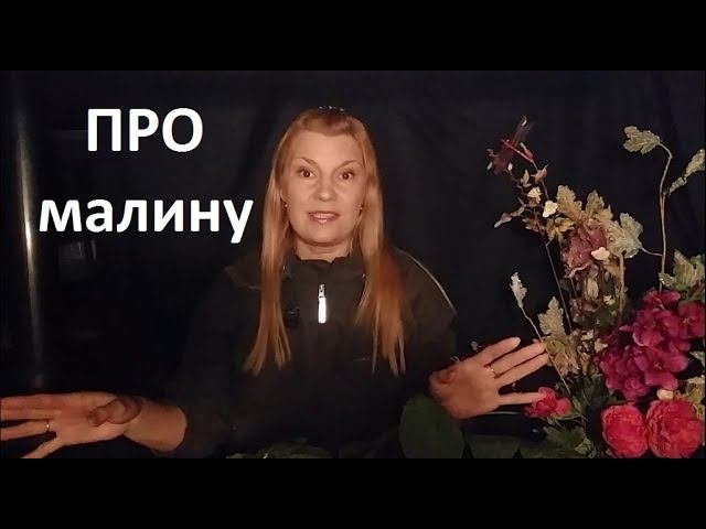 Про малину.