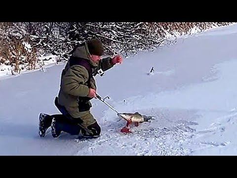 ПЕРВЫЙ ЛЁД 2023-24! БАЛАНСИР! РЫБАЛКА ПО ПЕРВОЛЕДЬЮ! Зимняя рыбалка#первыйлед