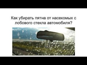 Как удалить следы от насекомых с лобового стекла машины?