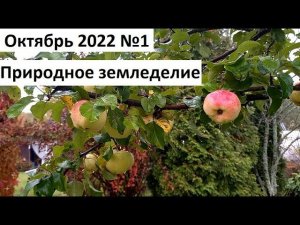 Октябрь 2022 №1. Осень в природном земледелии.