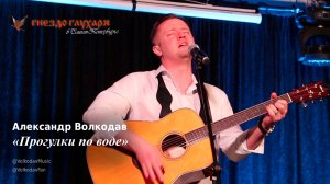 "Прогулки по воде" Александр Волкодав "Гнездо глухаря" Санкт-Петербург 10.02.24 #питер #концерт