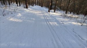 Кемерово. Рудничный бор 15.01.2025