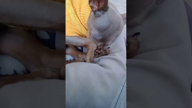 1000037502.mp4