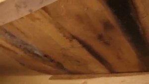 ПОЛНОЕ ВИДЕО В ОПИСАНИИ Неправильная пароизоляция под полом