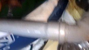 Взвешивание стерляди