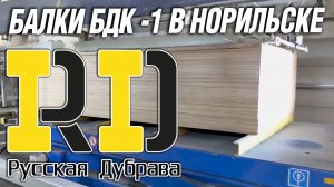 Производитель деревянной двутавровой балки БДК -1 в Норильске. #рд #tech #doka #peri #psk #пск