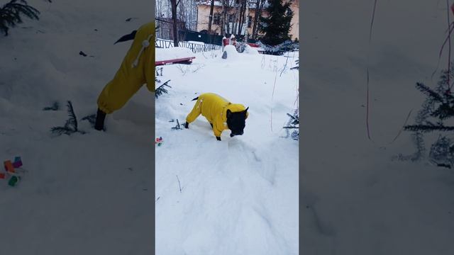 Фотосессия под ёлкой 😄