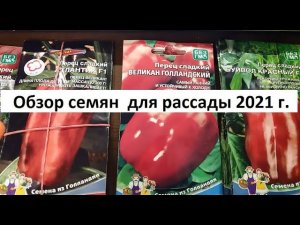 Обзор семян для рассады 2021.