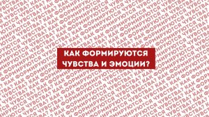 Как формируются чувства и эмоции?