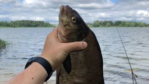 Рыбалка на Истринском водохранилище. Лещ. 2021