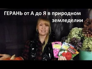 Пеларгония ( герань) от А до Я в природном земледелии.
