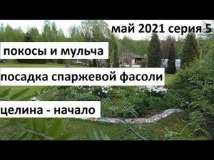 Май 2021 серия 5. Покосы, мульча, целина и  цветение сада.