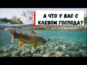 ЛОВЛЯ ПРУДОВОЙ ФОРЕЛИ СРБ ПАРУС СЕВЕР