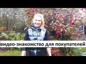 Рассада в Ярославле.
